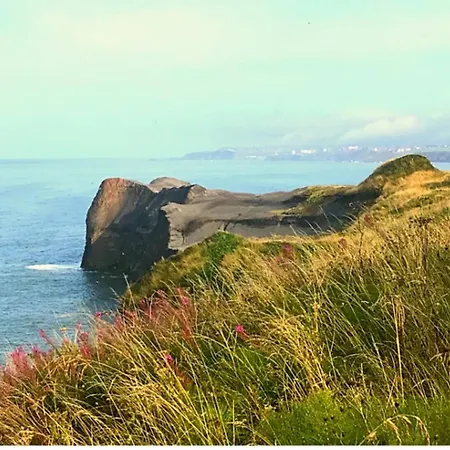 Sycamore Cottage, Falling Foss Waterfalls Whitby